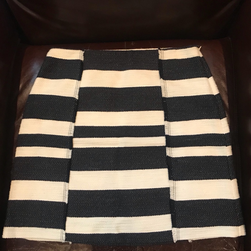 Ann Taylor Loft Navy & Ivory Skirt
